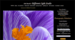 Desktop Screenshot of differentlightstudio.com