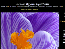 Tablet Screenshot of differentlightstudio.com